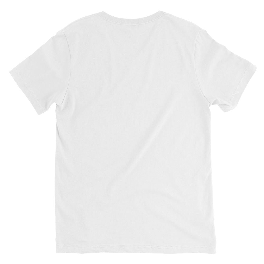 gemini unisex v-neck t-shirt